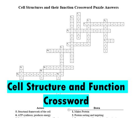 function crossword clue|function crossword puzzle clue.